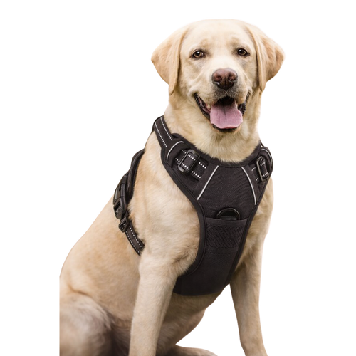 Arnés para correa de perro