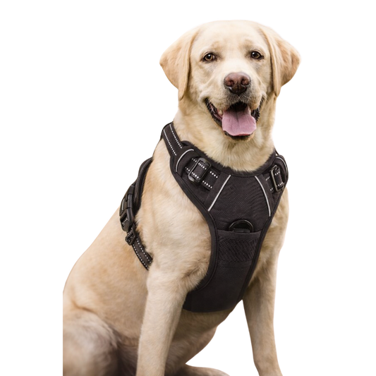 Arnés para correa de perro